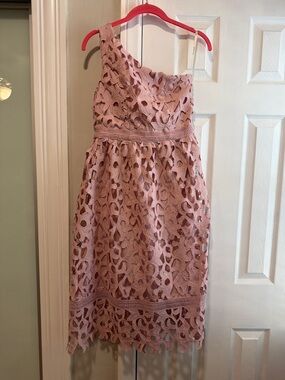 Sour Fig UK One-Shoulder Blush Lace Dress